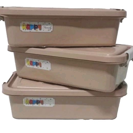 Aesthetic 3pcs Food Keeper/Storage with Clip lock